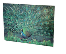 Hologram peacock metallic for sale  Fowlerville