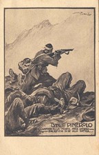 Alpini battaglione alpini usato  Rovigo