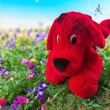 Vintage 1997 clifford for sale  Canal Fulton