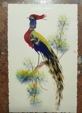 Postcard exotic bird for sale  El Mirage