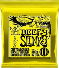 Ernie ball beefy usato  Italia