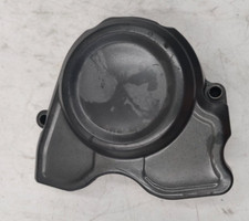 Copri pignone benelli usato  Lamezia Terme