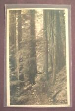 Forest trail old for sale  Glenoma