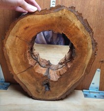 Handmade live edge for sale  Oneonta