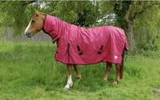 Red rhinegold turnout for sale  ROSS-ON-WYE