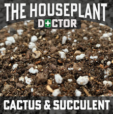 Cactus succulent potting for sale Cactus succulent potting for sale  LOUGHBOROUGH