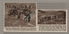 C3430 walisische berge gebraucht kaufen  Versand nach Germany