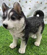 siberian husky puppies for sale  KIRKCALDY