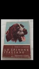 Carlo cardini spinone usato  Gambettola