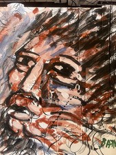 Archivio xante battaglia usato  Pavia