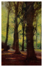 Old growth forest for sale  Bremerton
