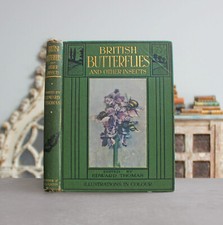 Rare Antique Old Book British Insects 1908 Bee Moth Butterfly Flower Garden ⭐ comprar usado  Enviando para Brazil