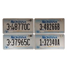 Montana plaque immatriculation d'occasion  France