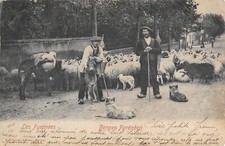Cpa pyrenees berger d'occasion  Claira