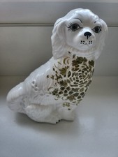 Staffordshire spaniel dog for sale  Yorktown