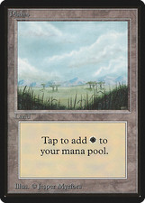 Magic mtg plains d'occasion  Ivry-sur-Seine