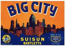 Big city vintage for sale  Chico