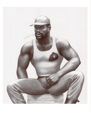 tom of finland gebraucht kaufen  Melle