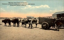 Cartão postal vintage México Oxen Team & Carreta Transportation c1900-20s comprar usado  Enviando para Brazil