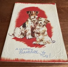 sealyham terrier for sale sealyham terrier for sale CRANBROOK