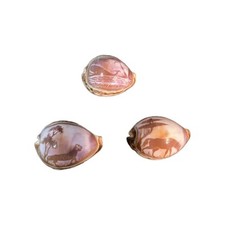 Carved cowrie shells for sale  Abilene
