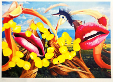 Jeff koons litografia usato  Roma