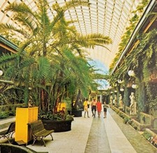 Cartolina anni kapor usato  Spedire a Italy