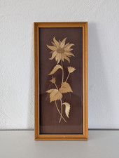 Alter rahmen strohblume gebraucht kaufen  Driedorf