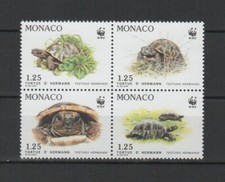 Monaco 1991 tortue d'occasion  Marseille VII