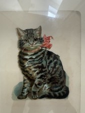 Peter blake cat for sale  WEYBRIDGE