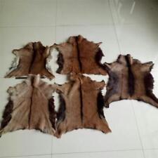 Pieces natural real for sale  UK