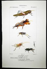 1831 pretre originale usato  Urbino