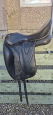 Wow black dressage for sale  TURRIFF