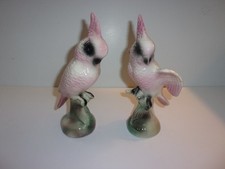 Cockatoo pink bird for sale  Napoleon