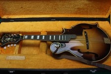 f style mandolin case for sale f style mandolin case for sale Clinton Township