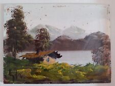 Quadro paesaggio lacustre usato  Cagliari