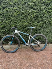 Radon team hardtail gebraucht kaufen  Borken