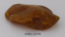German butterscotch polished for sale  RICHMOND