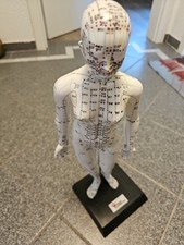 Akupunkturmodell meridianpunkt gebraucht kaufen  Massenhausen