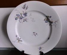 Grande elegante vassoio usato  San Giuliano Terme