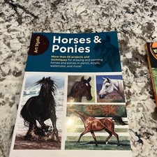 Horses ponies projects for sale  South Windsor