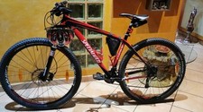 Mountain bike specialized usato  Roma