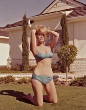 Inger stevens superstar for sale  USA