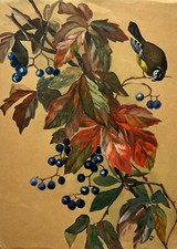 Aquarell zweig ast gebraucht kaufen  Graal-Müritz, Seeheilbad