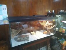 Gallon terrarium d'occasion  Expédié en Belgium