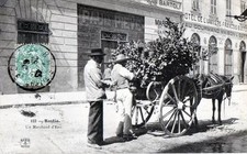 Cpa corsica bastia d'occasion  Expédié en Belgium