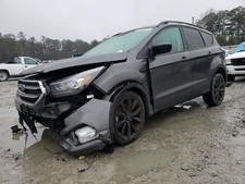Driver front door for sale  Carnesville