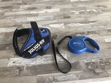 Julius puppy harness for sale  WREXHAM