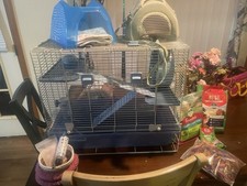 Hamster guinea pig for sale  Republic