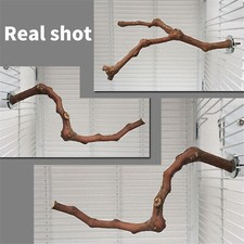Bird perch stand for sale  Dayton